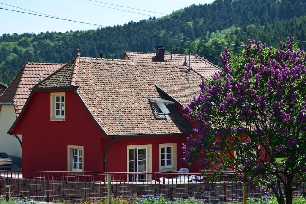 Doller Villa 4 Stars Hot Tub Mountain Ski Ballon D'Alsace Sewen Kültér fotó